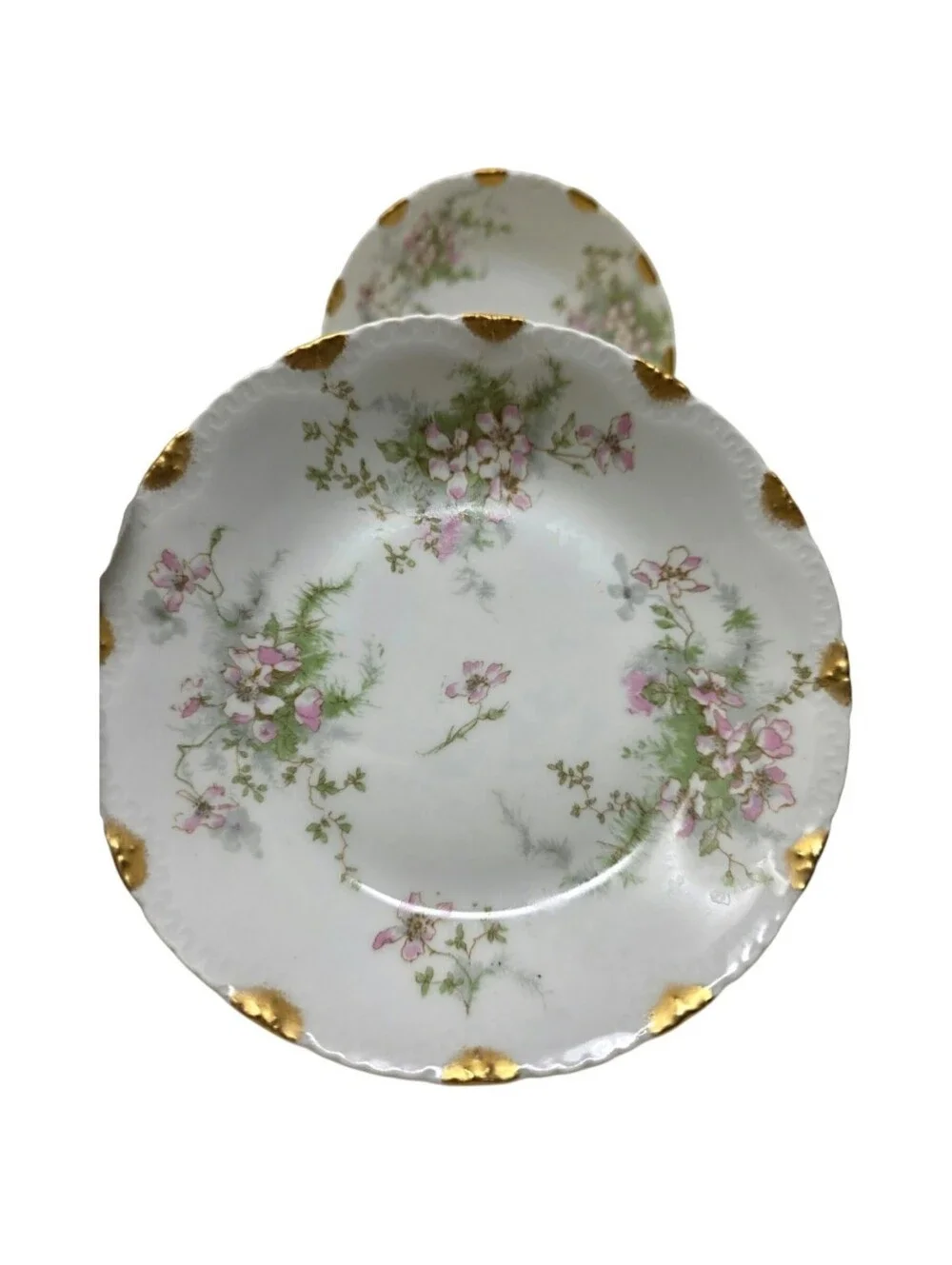 Haviland Limoges this set